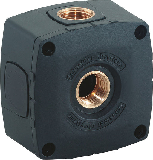 Rohrleitungsdose SCHNEIDER Basis 2x1/2 Zoll Innengewinde
