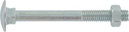 Schlossschrauben DIN 603 M8x30 mm weiß vz.