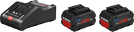 Bosch Akku - Basis-Set ProCORE - 2 x 18 V / 8,0 Ah Akkus - GAL 18V-160 C Ladegerät