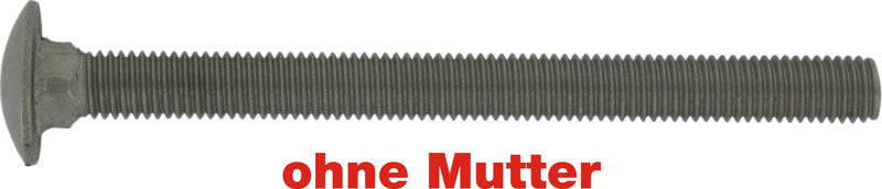 Schlossschrauben DIN 603 M10x35 mm A2