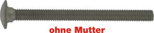 Schlossschrauben DIN 603 M6x45 mm A2